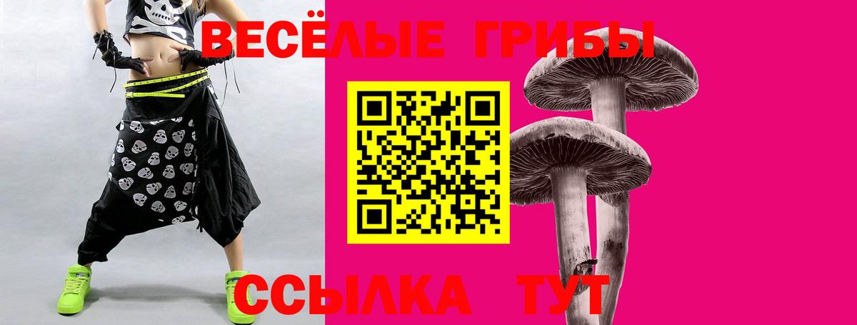 Верхняя Салда  Галлюциногенные грибы Psilocybe  где купить наркотик  Вход с VPN  Псилоцибиновые грибы Magic Shrooms 